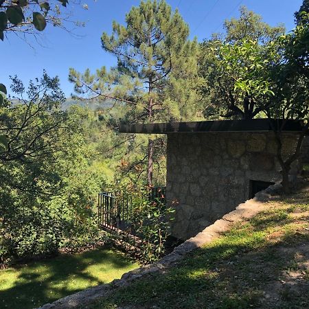 Sobreiro Valley - Casa Firmino Vieira do Minho Exterior foto